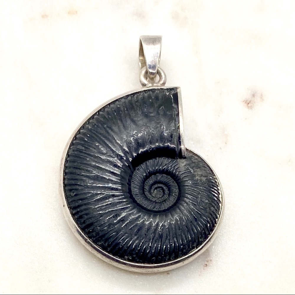 Fossilized Bone & Sterling Silver Pendant